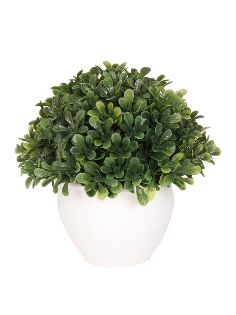 Home Centre Green & White Sachi Potted Artificial Bean Ball Plants with ...